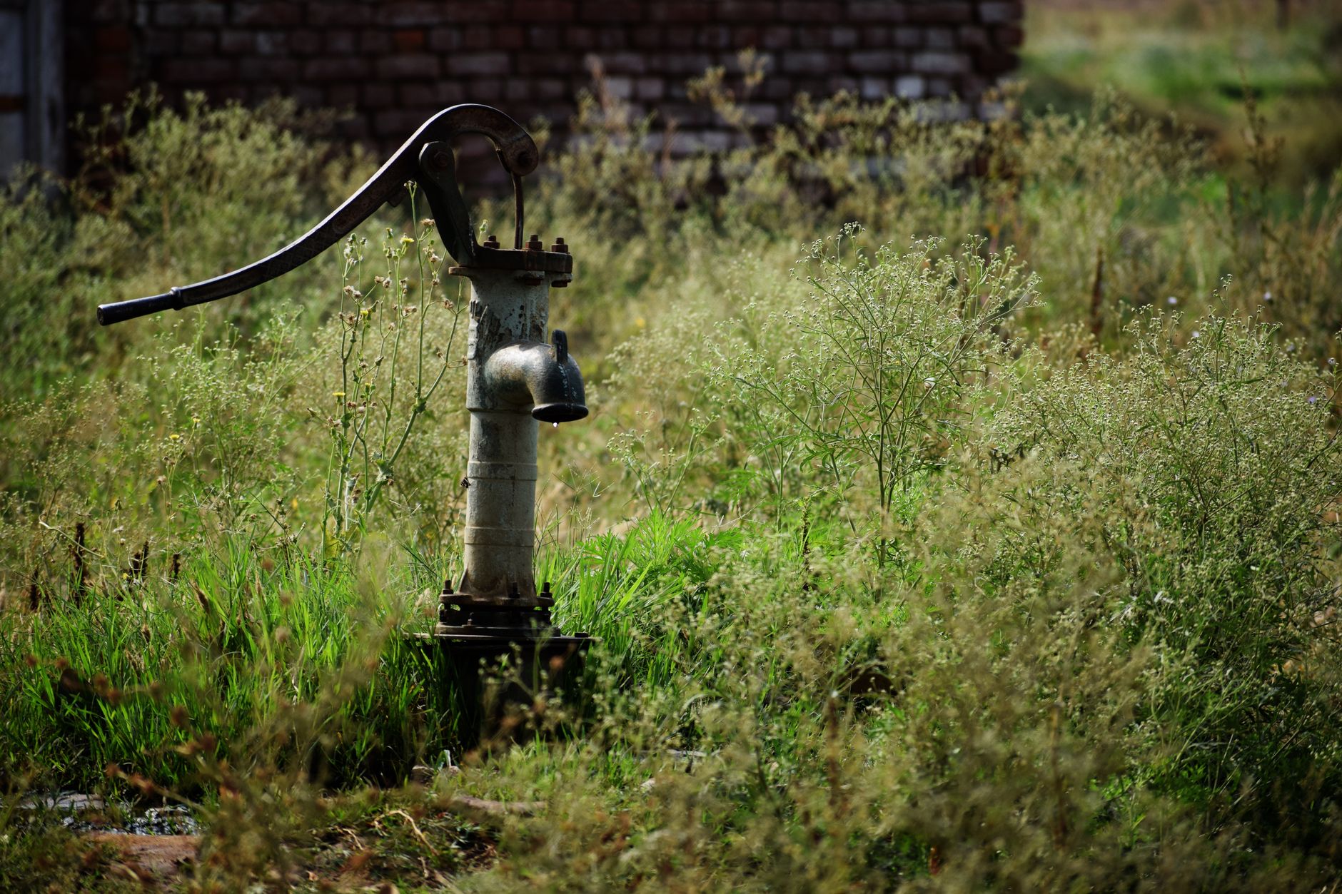 An old metal handpump standing in long grass