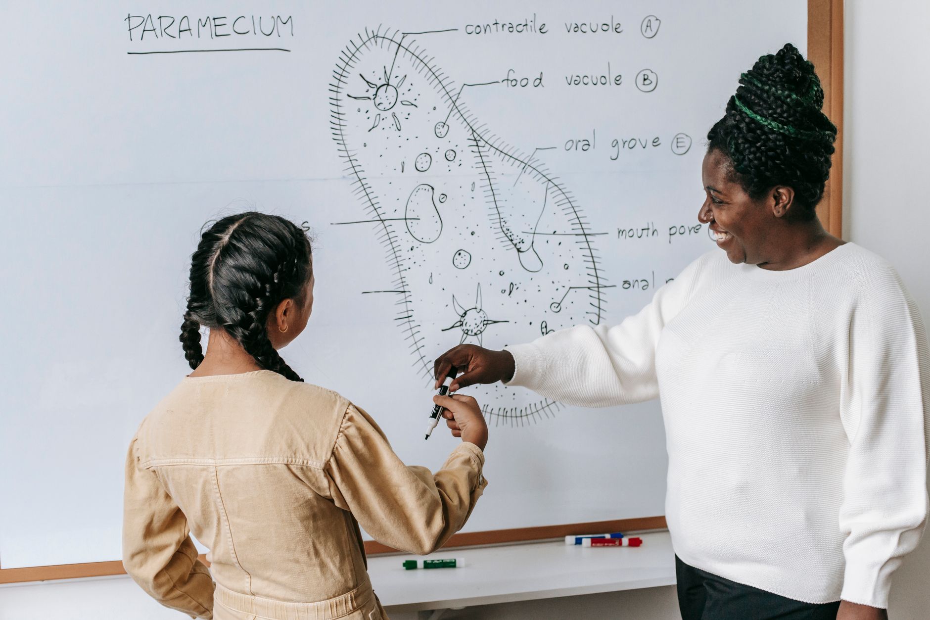 A teacher and a girl point at a diagram on a classroom whiteboard